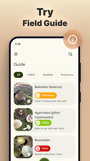 Mushroom Identification screenshot
