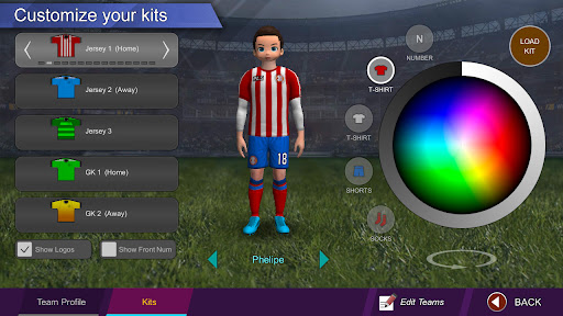 Pro League Soccer screenshot