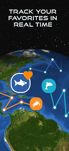 OCEARCH Shark Tracker™ screenshot