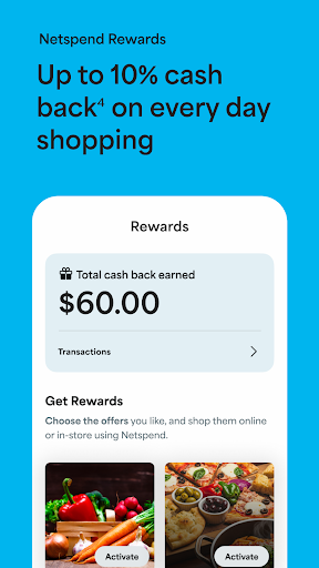 Netspend screenshot