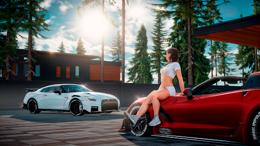 Drive Zone: Car Simulator Game screenshot