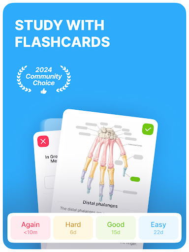 Noji – Flashcards study app screenshot