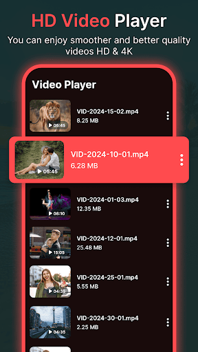 Flivio Video Player All Format screenshot