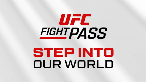 UFC screenshot