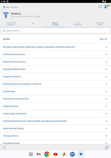 BCBSM screenshot