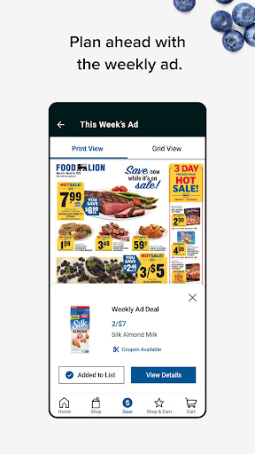 Food Lion screenshot