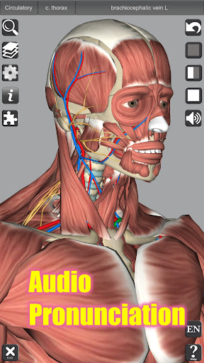 3D Anatomy screenshot