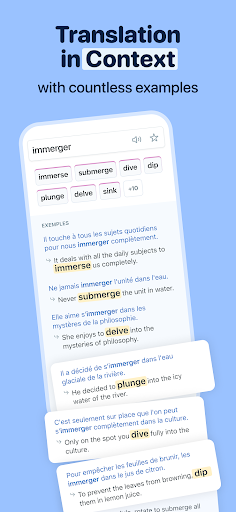 Reverso Translate and Learn screenshot