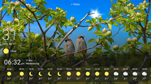 Weather Live Wallpapers screenshot