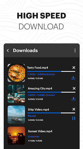 Video Downloader & Launcher screenshot