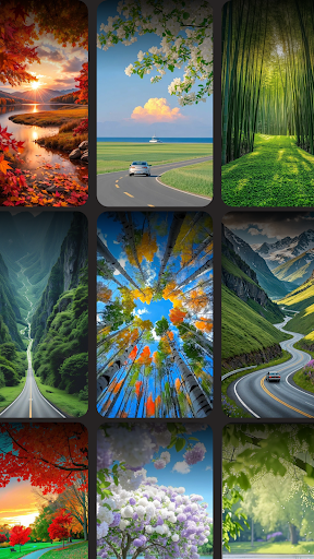 Live Wallpaper - Wallpapers 4K screenshot