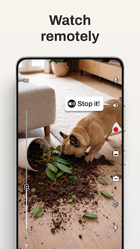 Camy — Live Video CCTV screenshot
