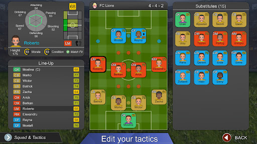 Pro League Soccer screenshot