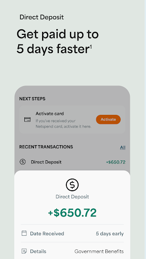 Netspend screenshot
