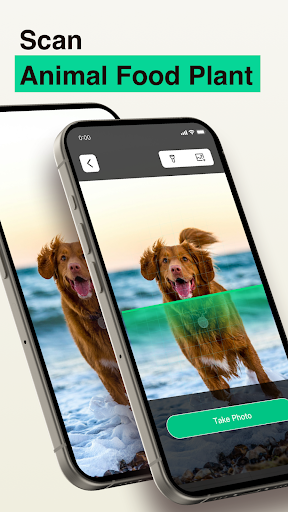Safe QR Barcode OCR AI Scanner screenshot