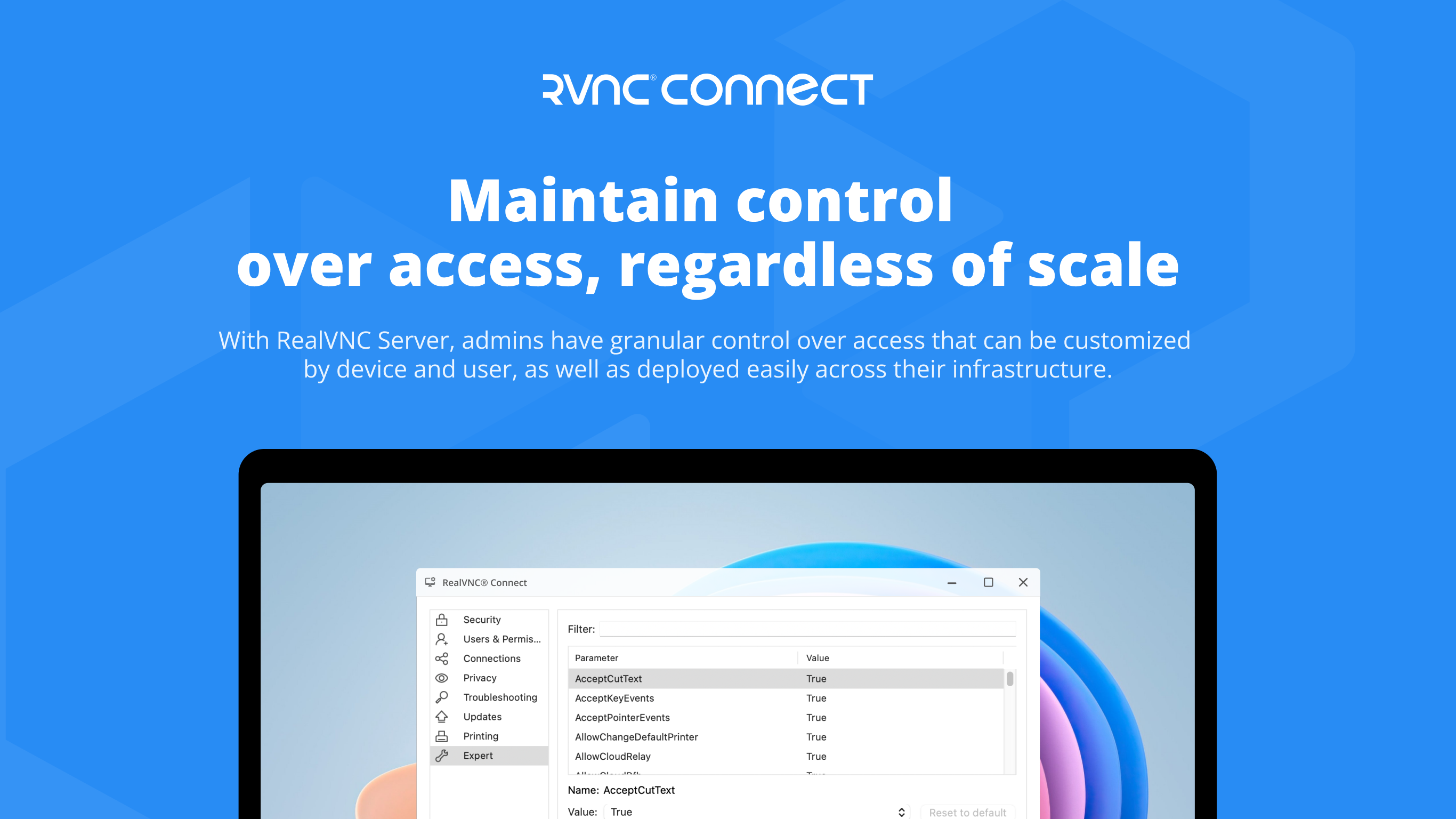 RealVNC Server screenshot