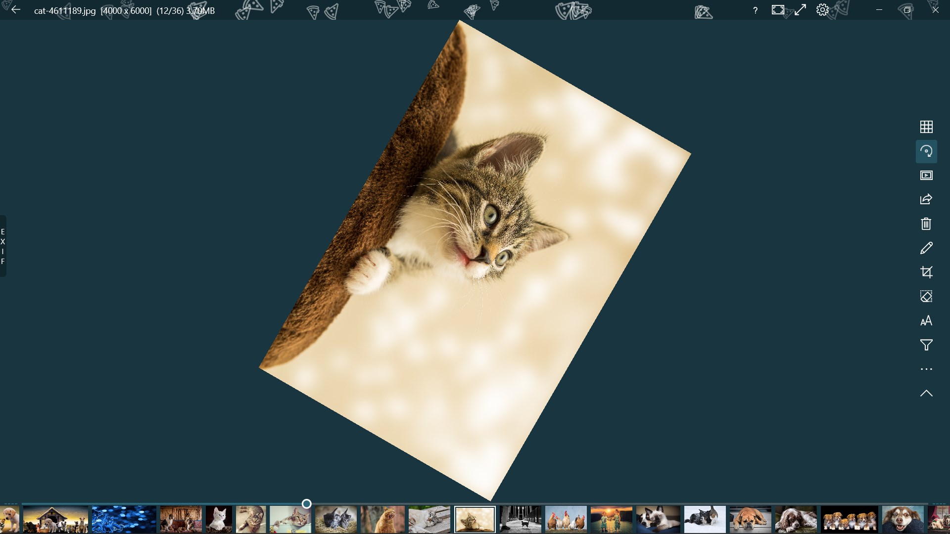 123 Photos: View, Edit & Convert screenshot