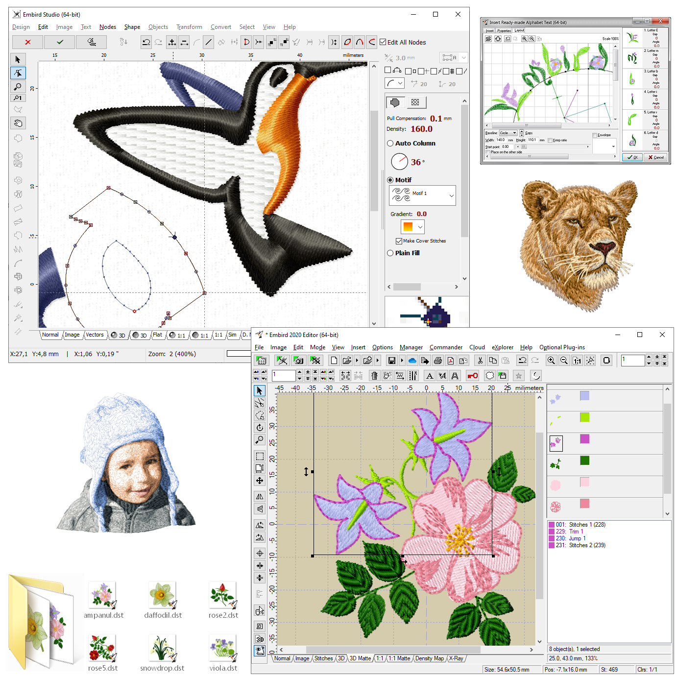 Embird Embroidery Software screenshot