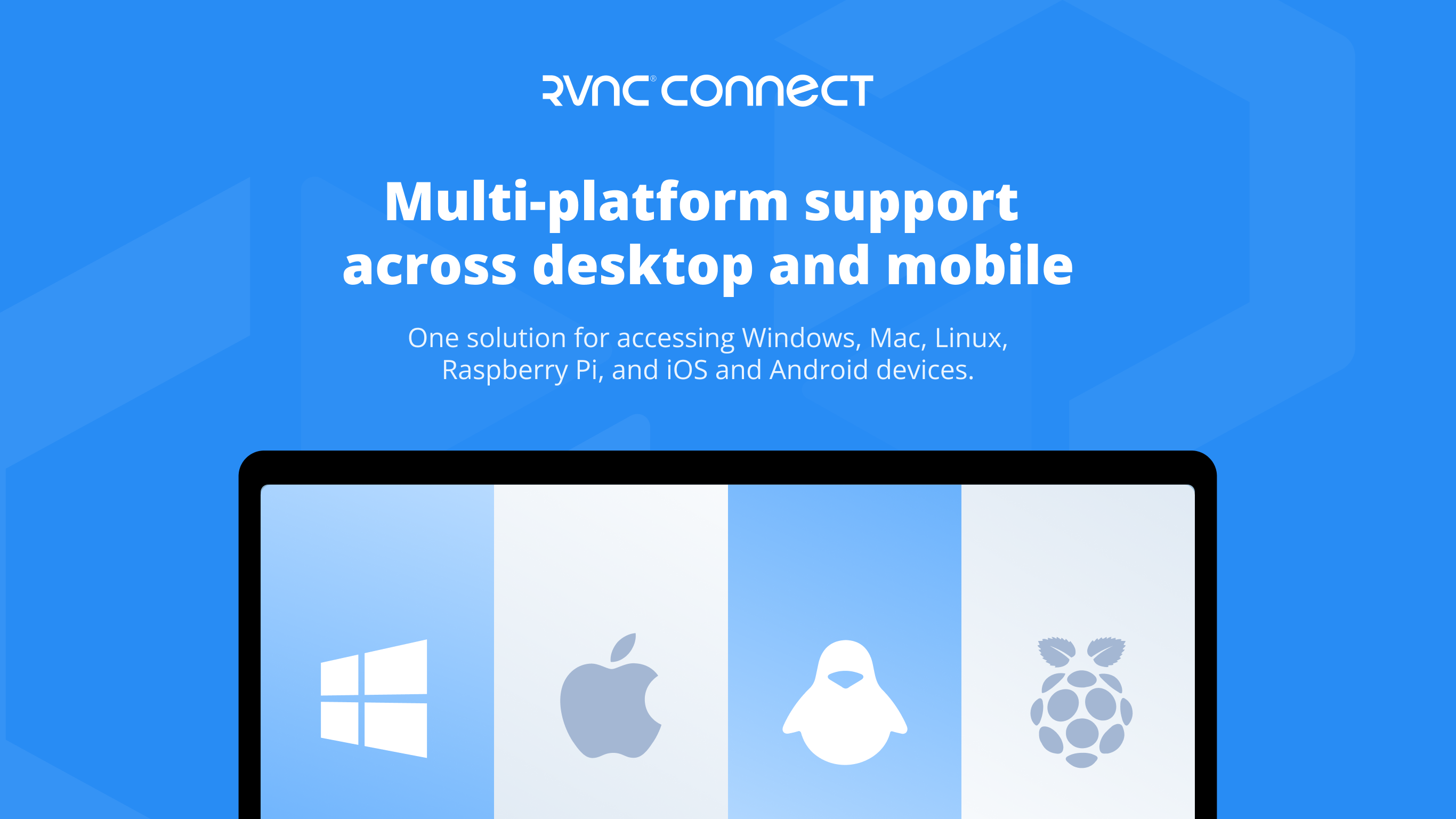 RealVNC Server screenshot