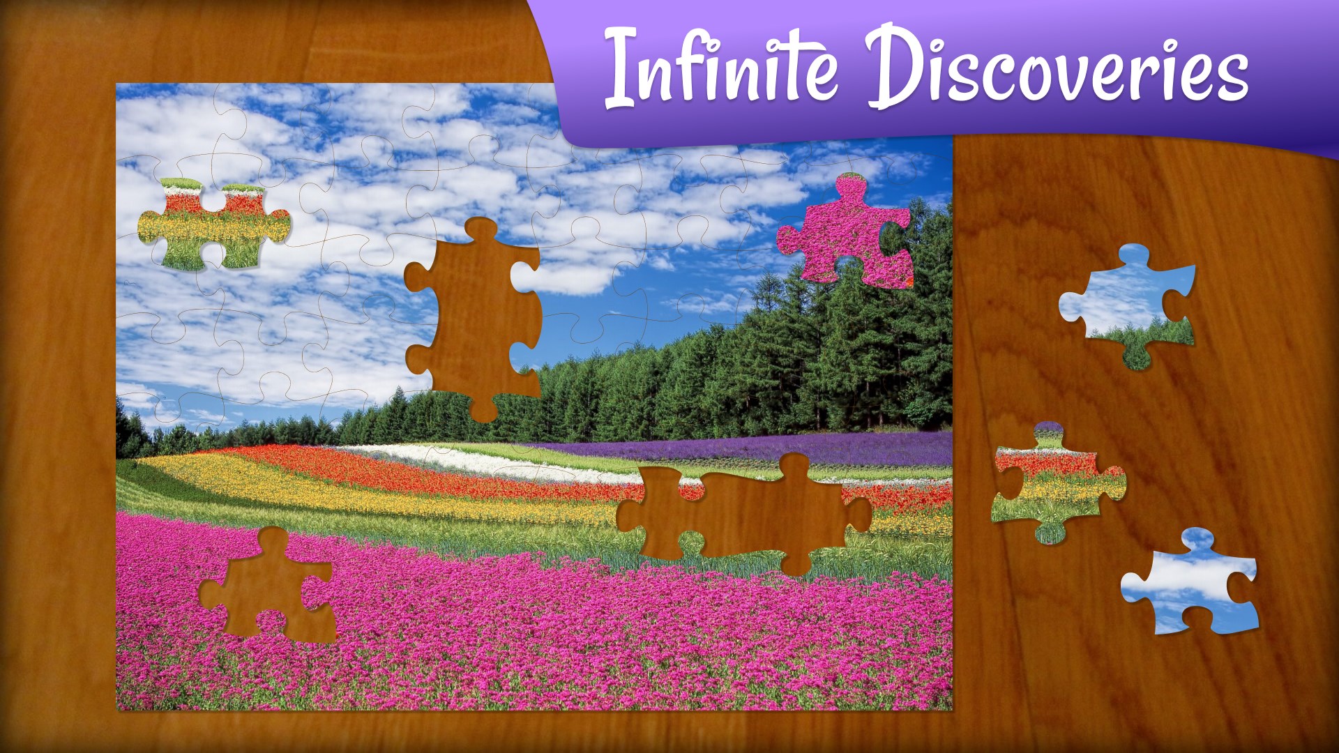 Jigsaw Puzzle Quest screenshot