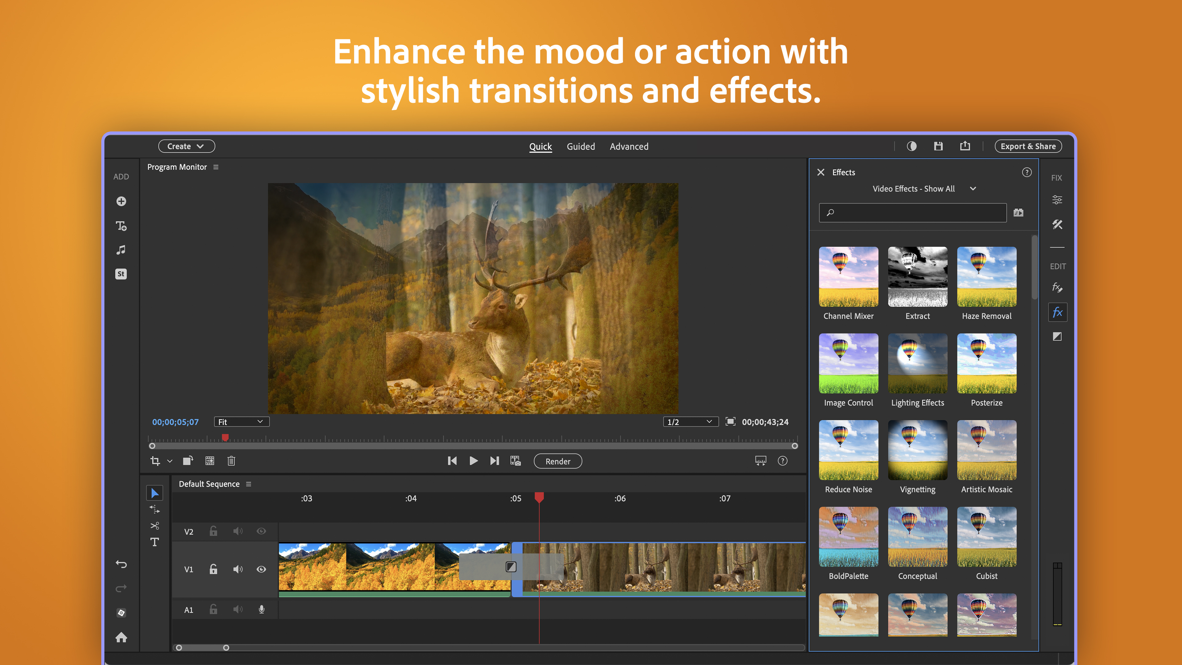 Adobe Premiere Elements 2026 screenshot