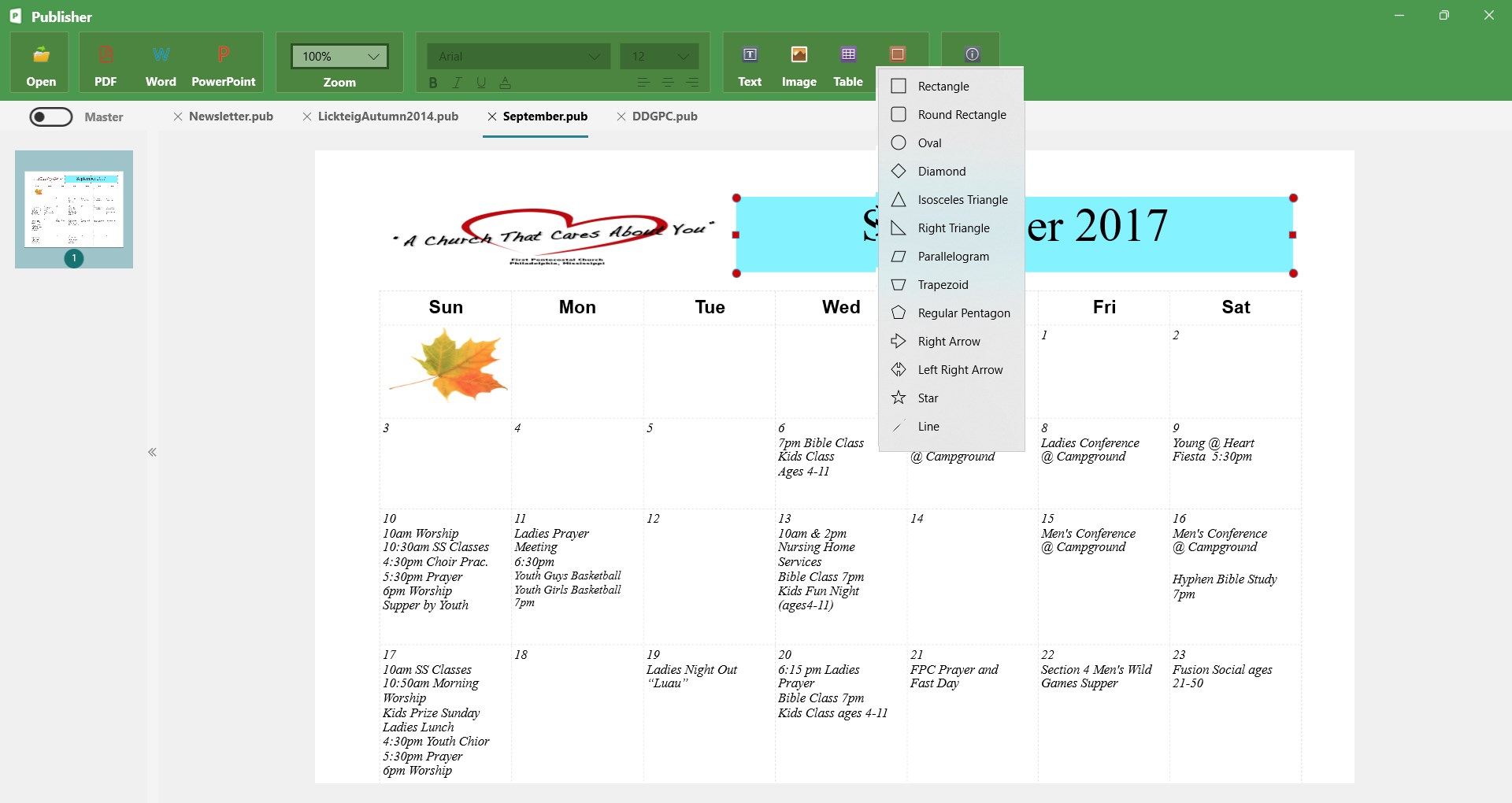 PUB Editor Pro 2 screenshot