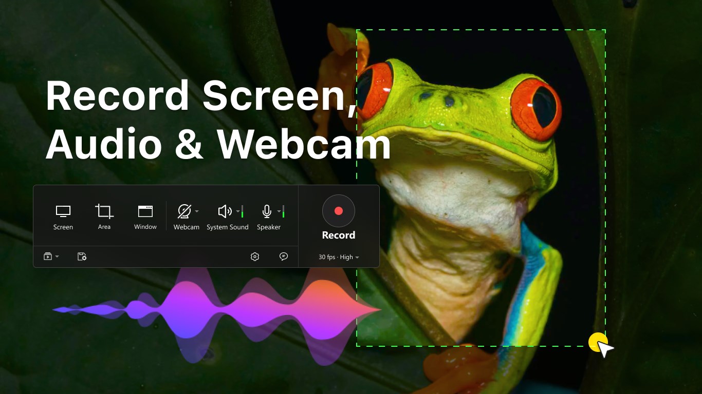 Screen Record‘ screenshot