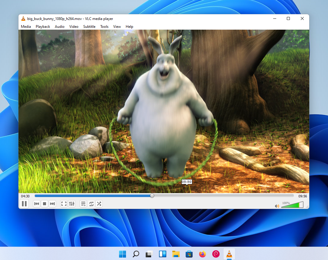 VLC screenshot