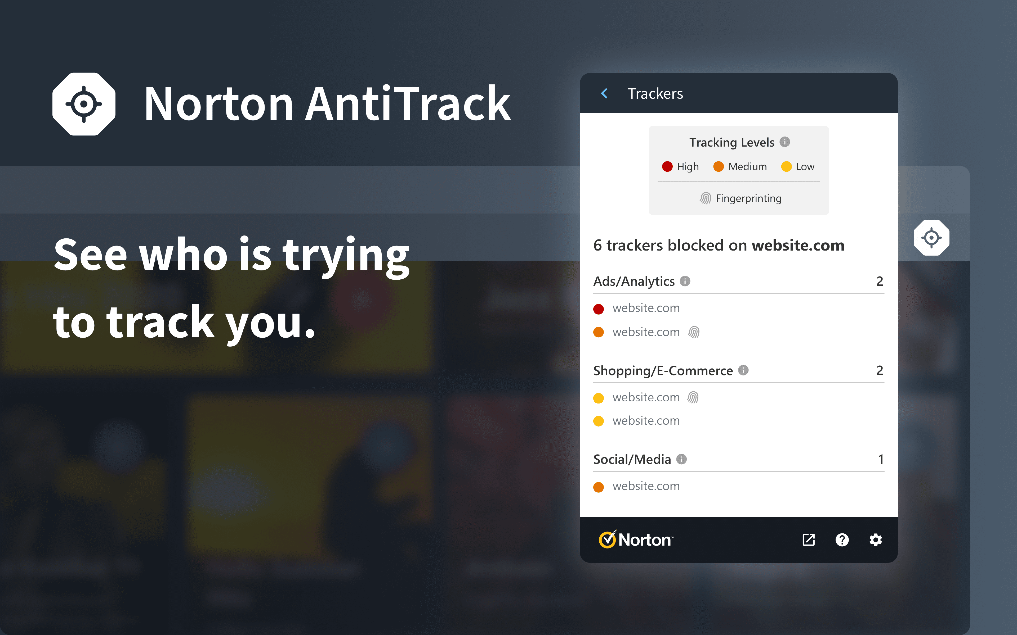 Norton AntiTrack screenshot