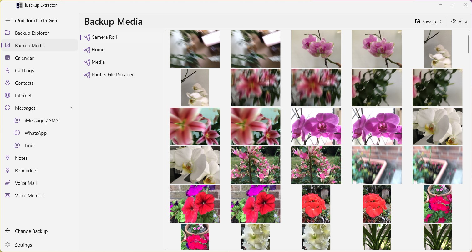iBackup Extractor screenshot