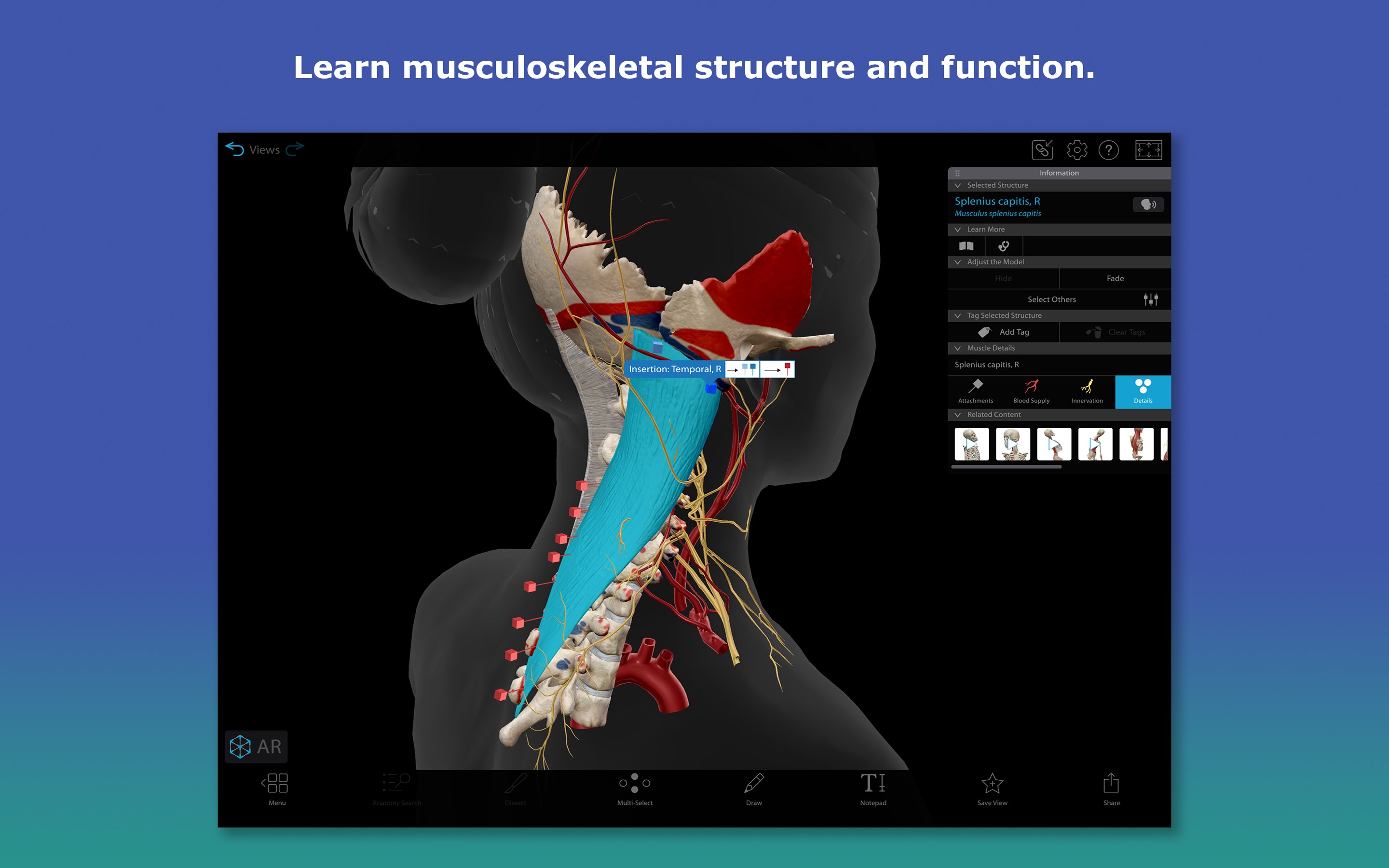 Human Anatomy Atlas 2026: Complete 3D Human Body screenshot