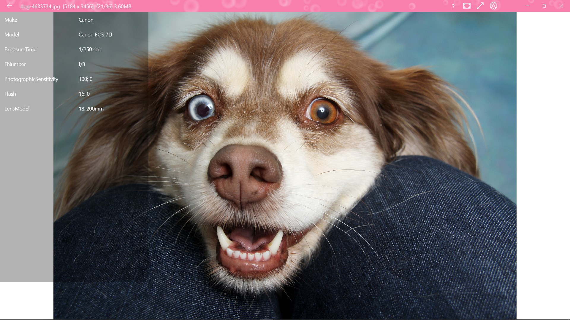 123 Photos: View, Edit & Convert screenshot