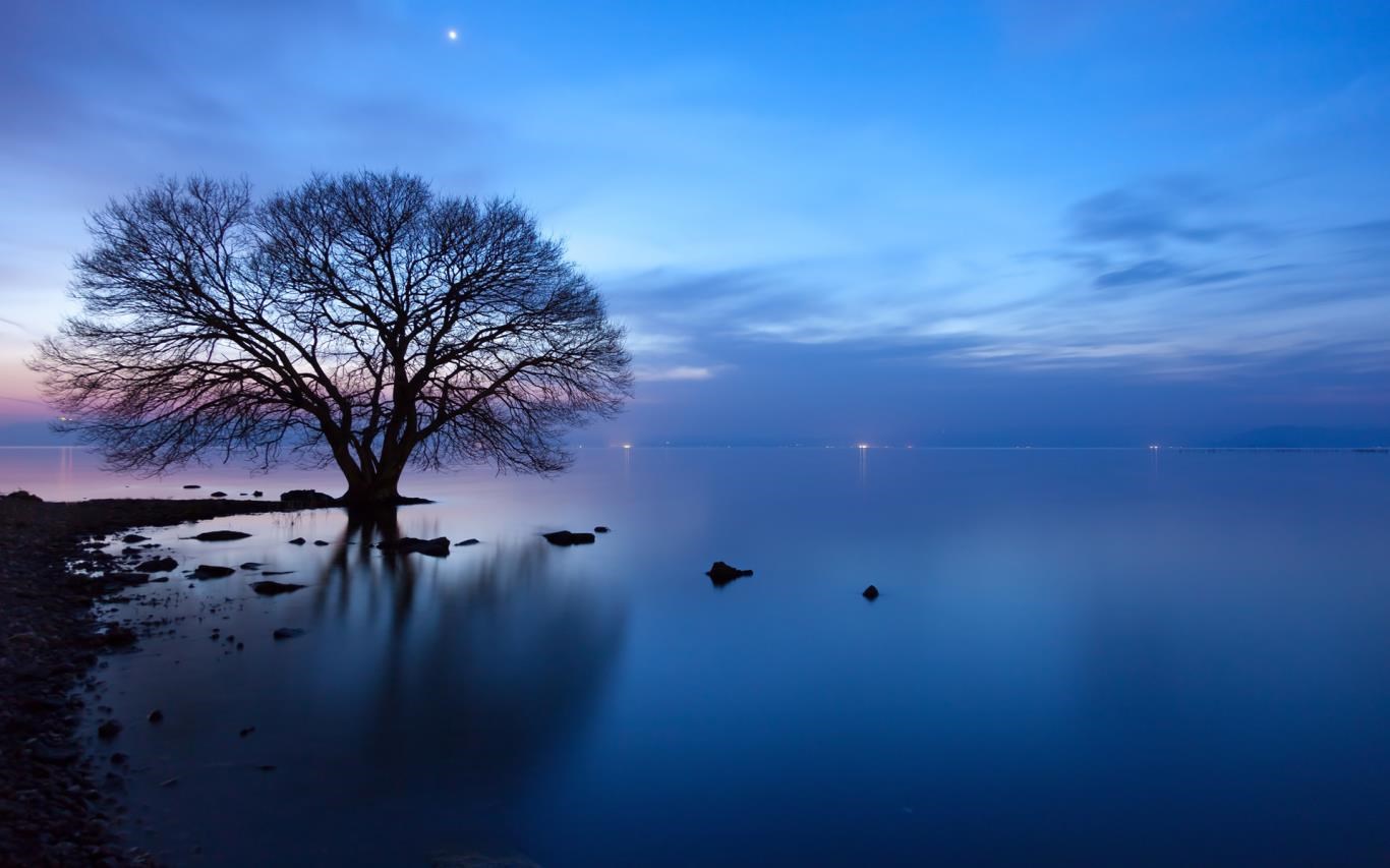 Japanese Landscapes screenshot