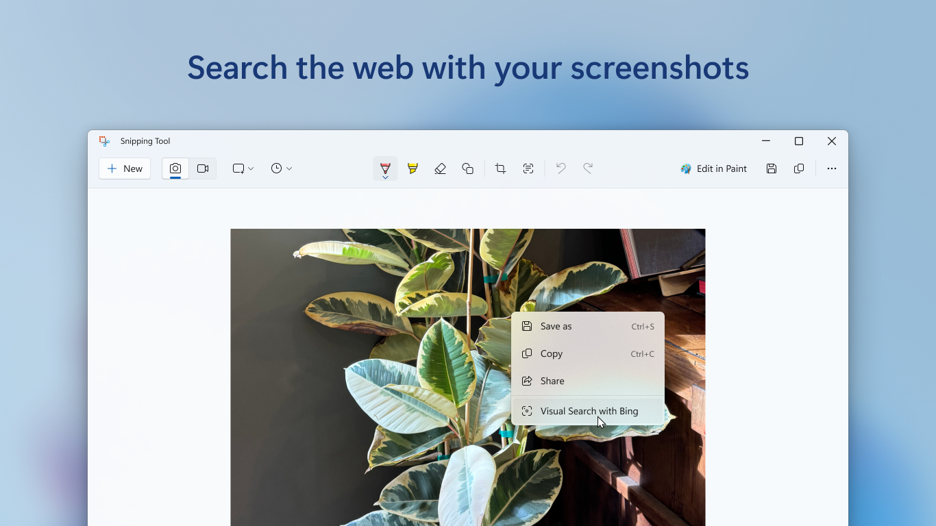 Snipping Tool screenshot