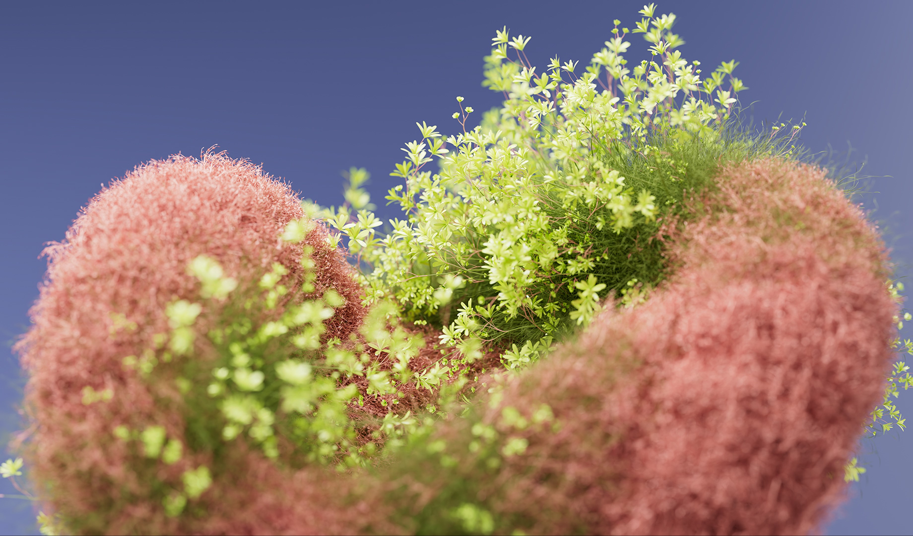 Blooming Dimensions screenshot