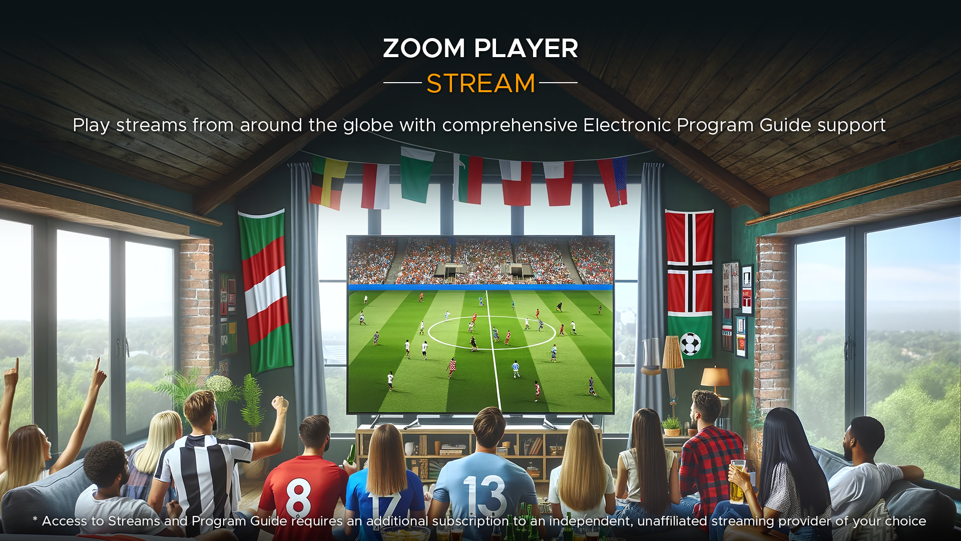 Zoom Player screenshot