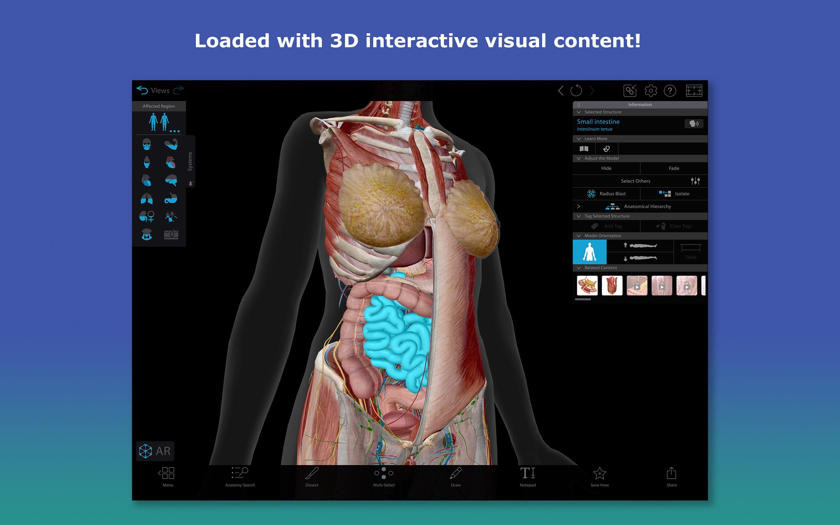 Human Anatomy Atlas 2026: Complete 3D Human Body screenshot