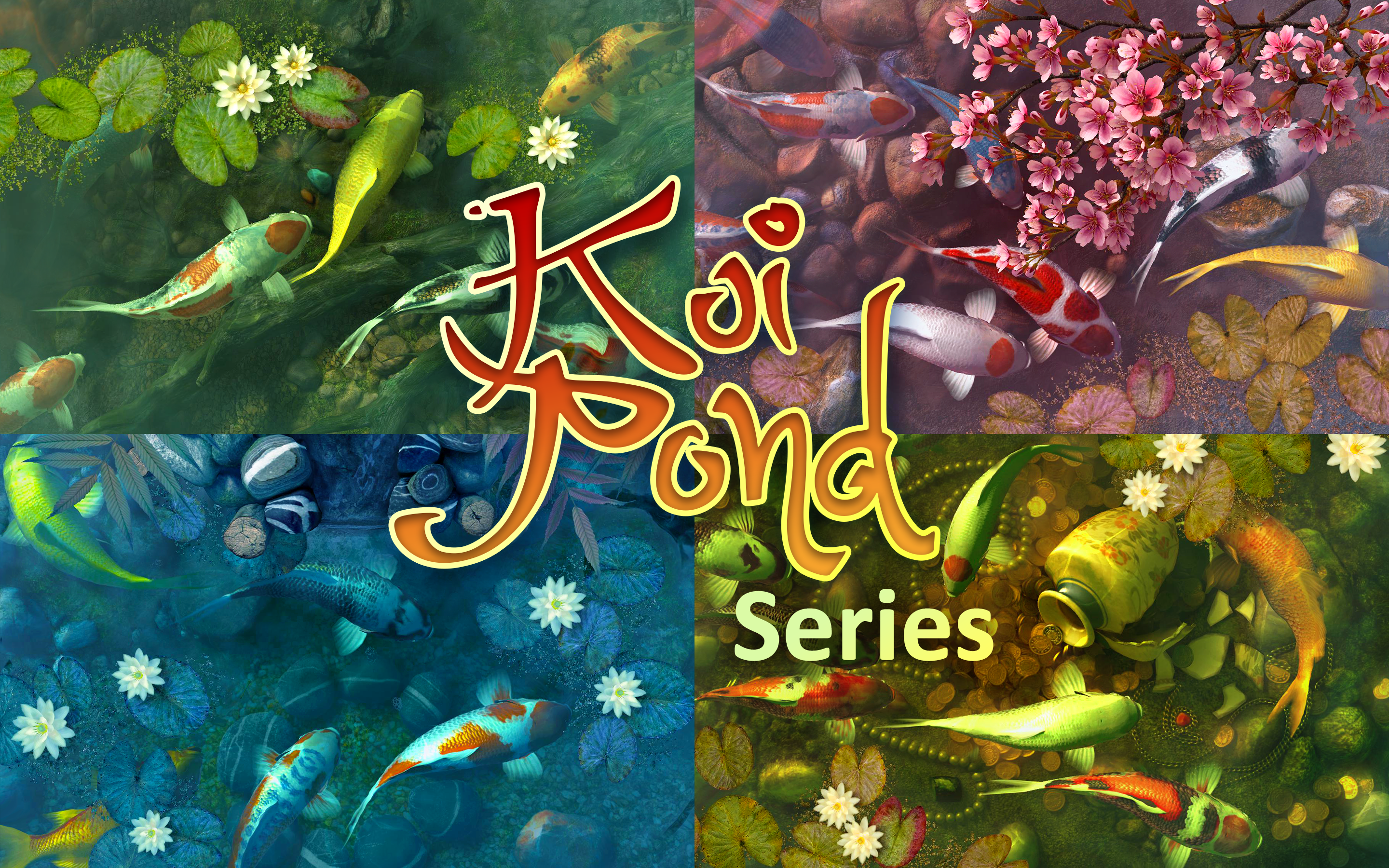 Screen Wonders screenshot