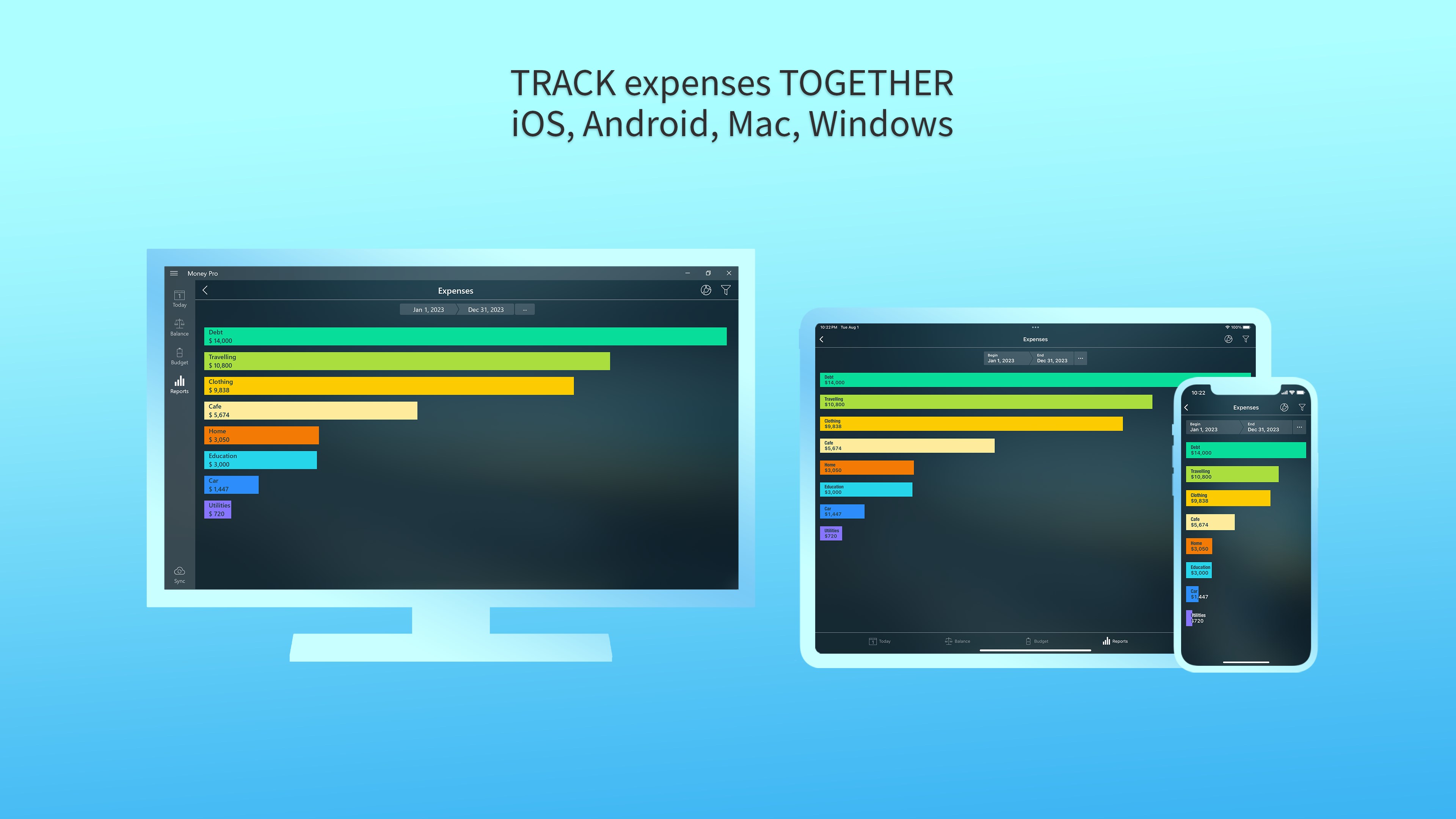 Money Pro: Personal Finance screenshot
