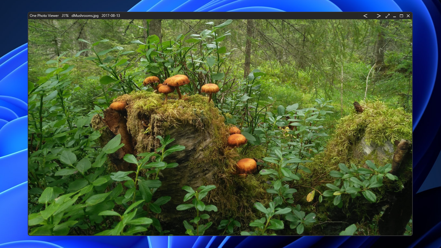 One Photo Viewer screenshot