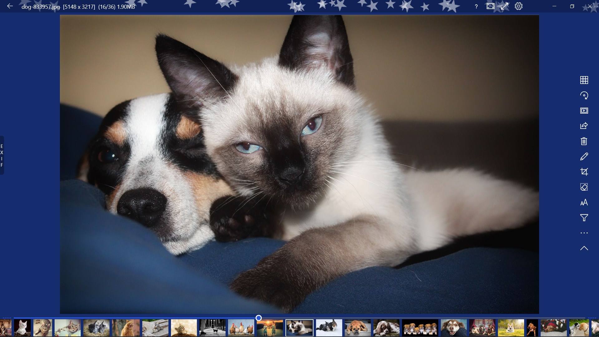 123 Photos: View, Edit & Convert screenshot