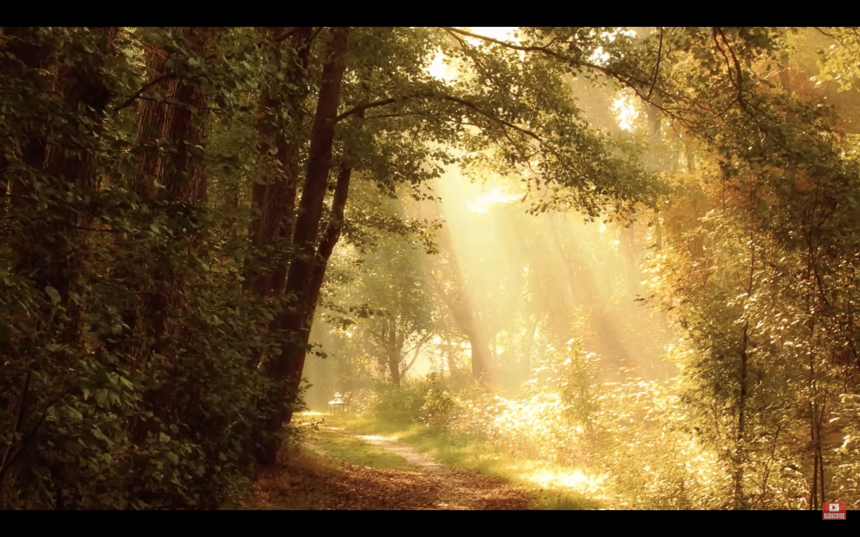 All Video Player. screenshot