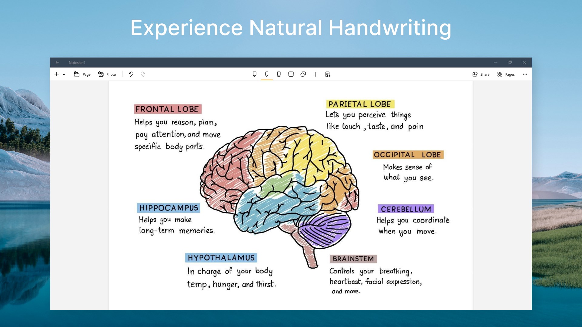 Noteshelf screenshot