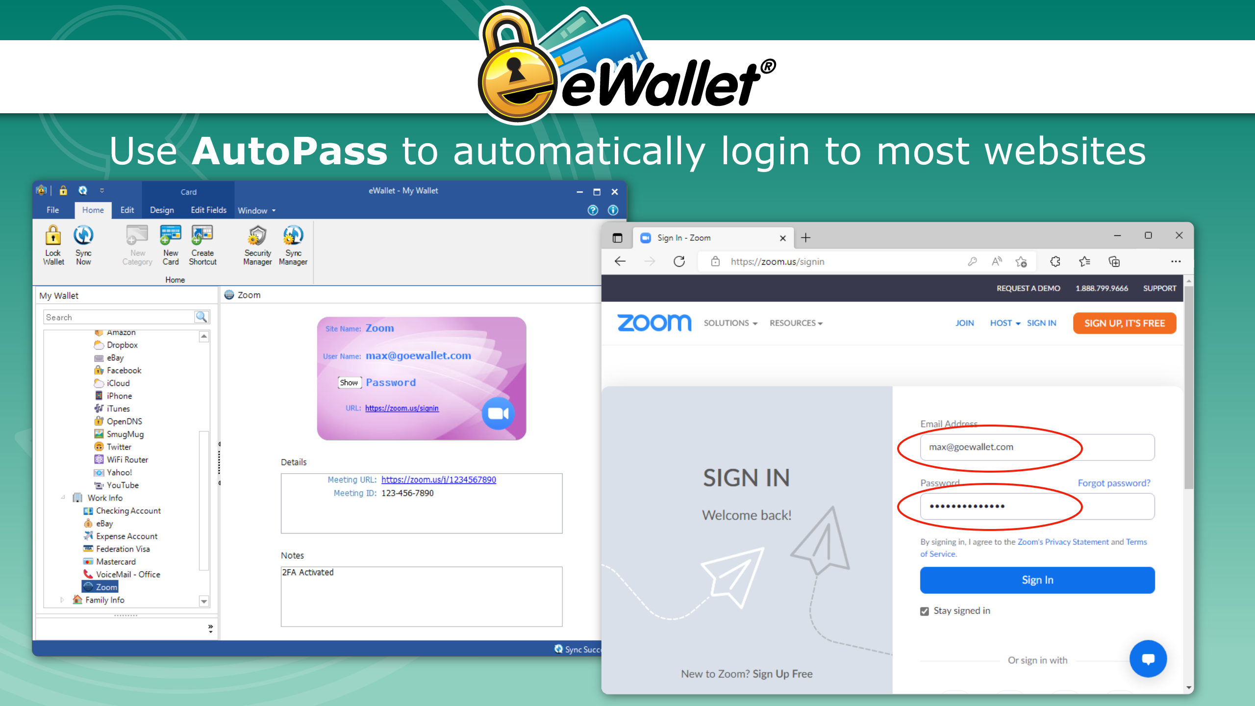 eWallet for Windows screenshot