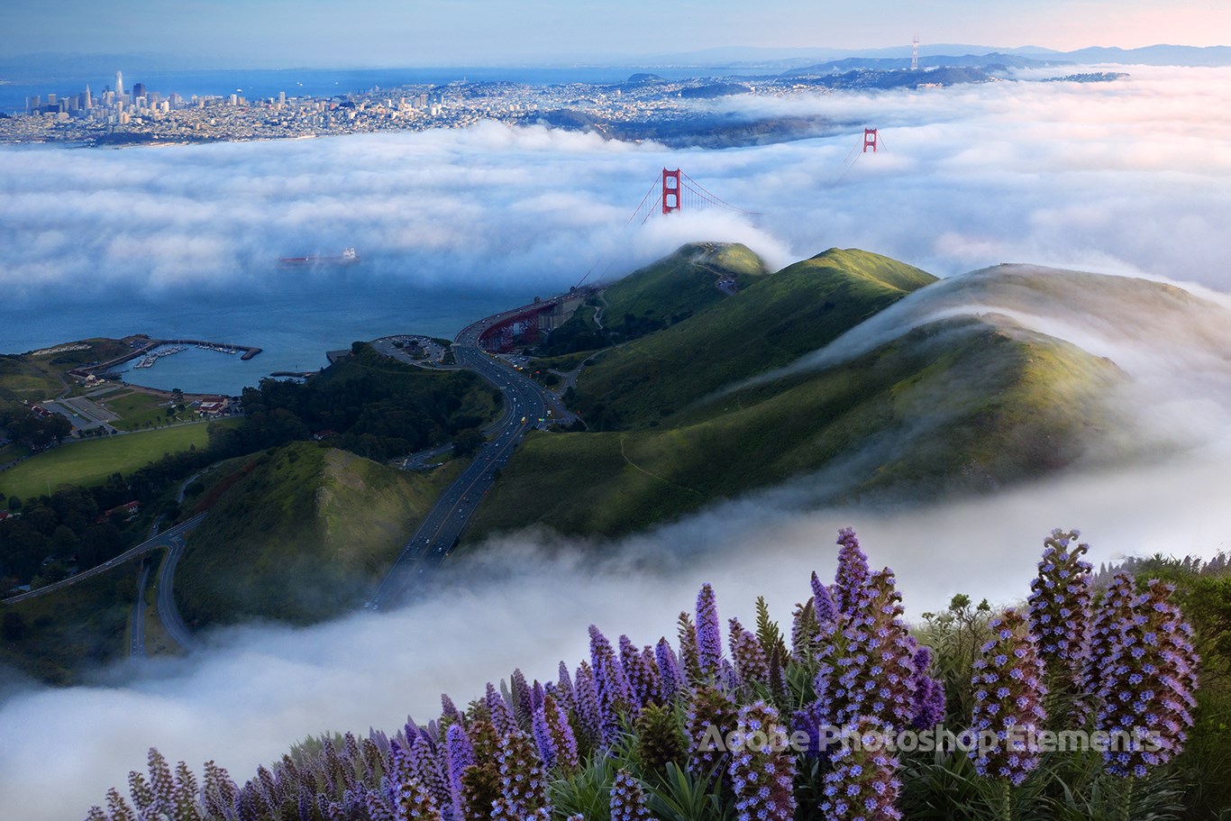 Nature Theme by Adobe Photoshop Elements screenshot