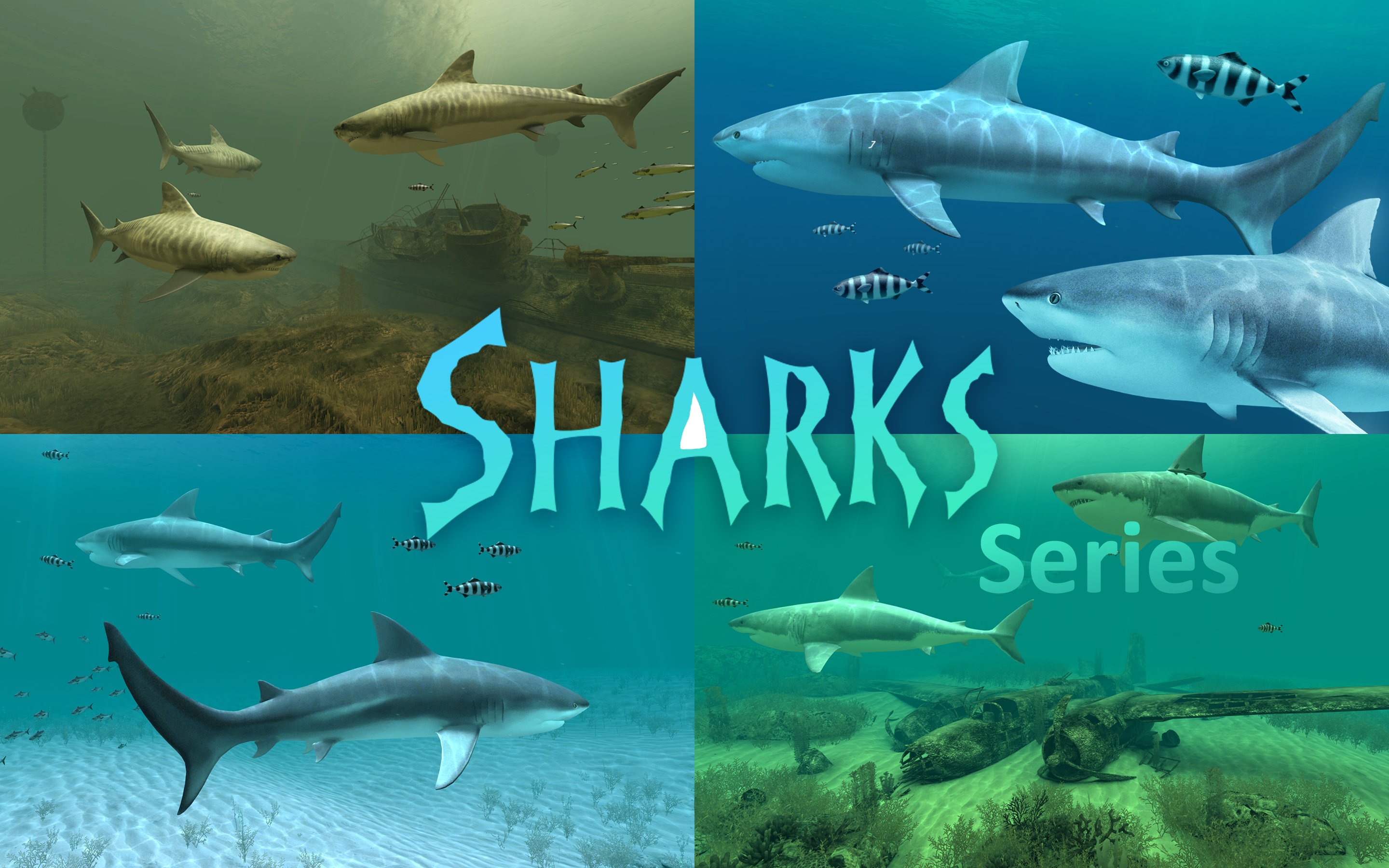 Screen Wonders screenshot