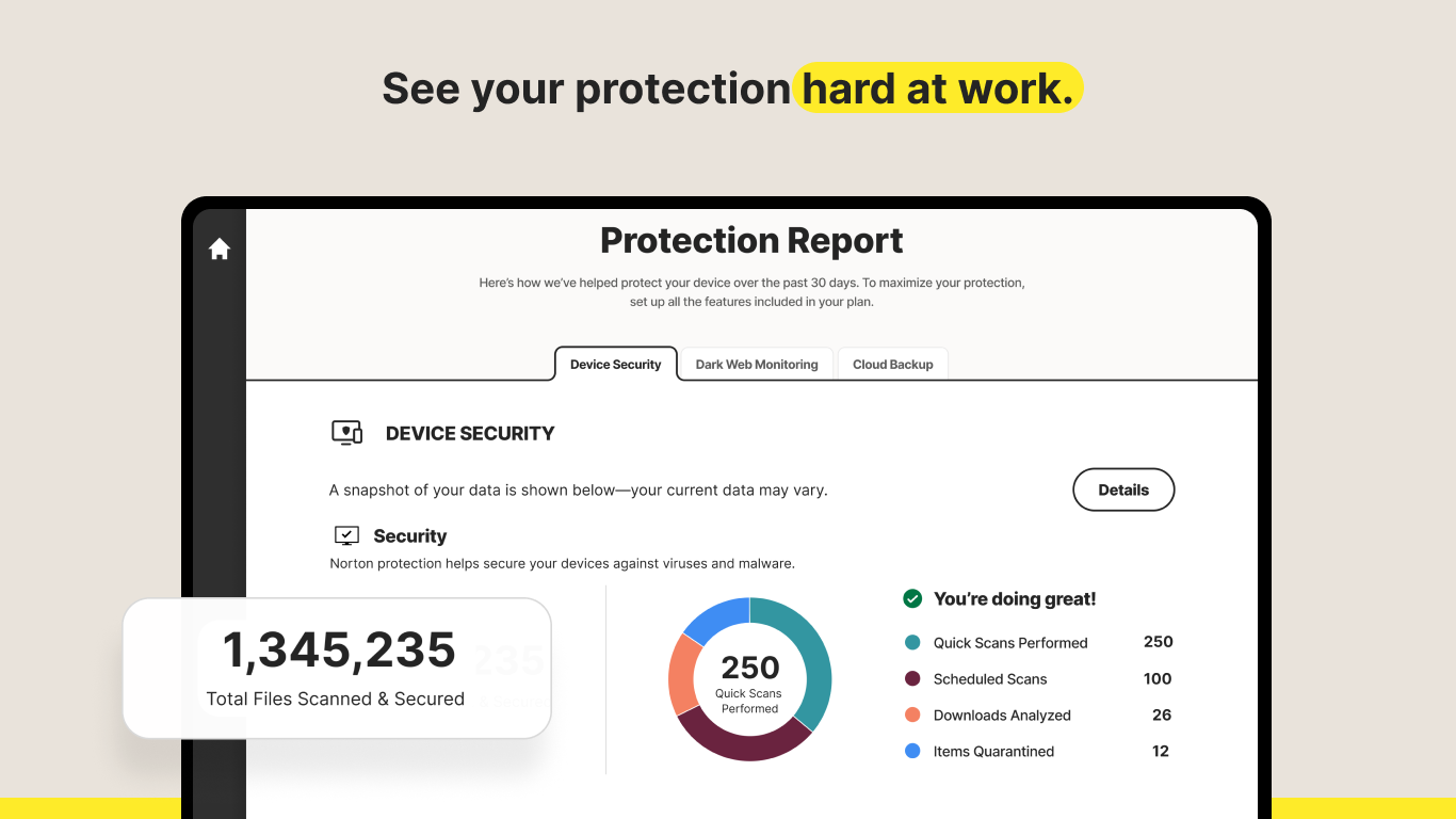 Norton 360 screenshot