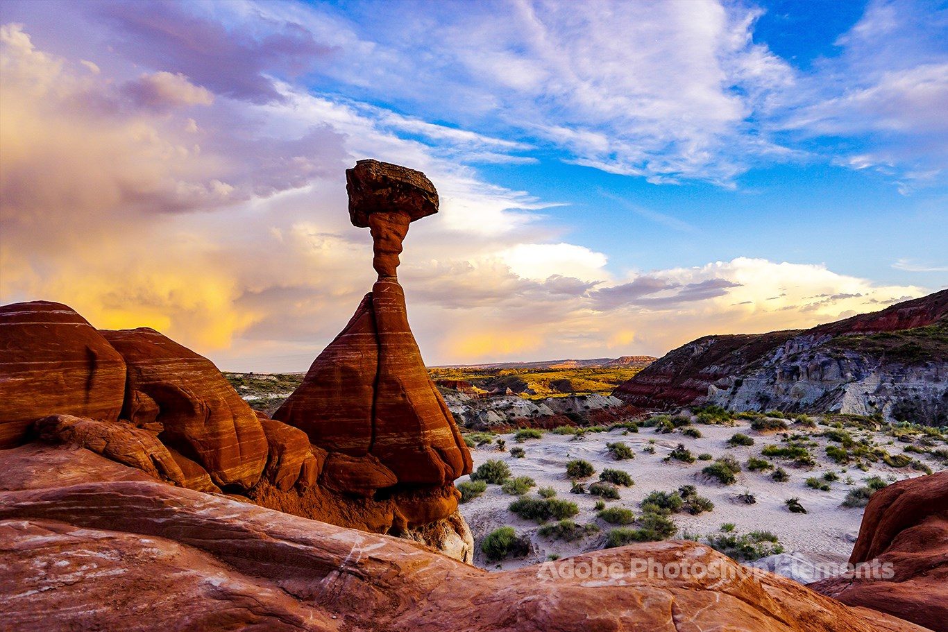 Nature Theme by Adobe Photoshop Elements screenshot