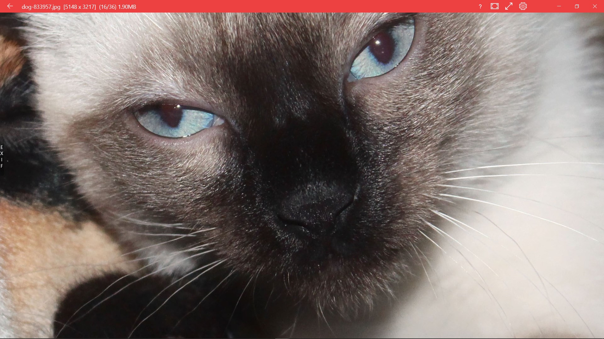 123 Photos: View, Edit & Convert screenshot