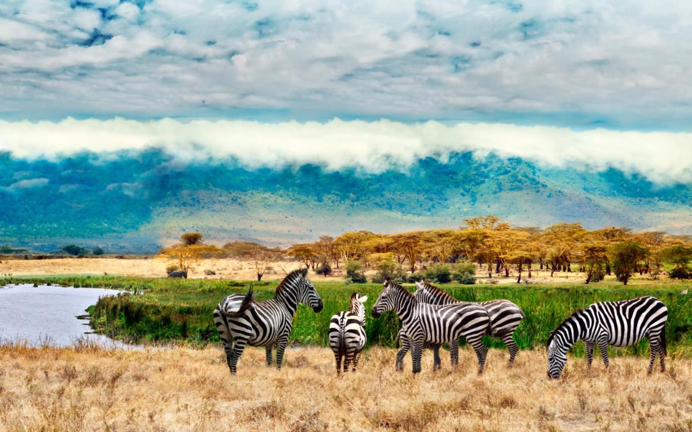 World National Parks screenshot